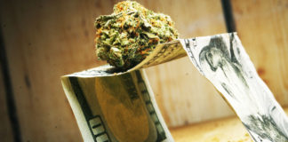Increase in marijuana use economic insecurity
