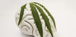 marijuana effects on the brain