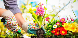 Addiction Recovery House in Athens, Ohio Experiments with Horticultural Therapy